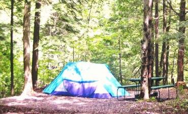 camping-foret-nature-compton-2-1.jpg